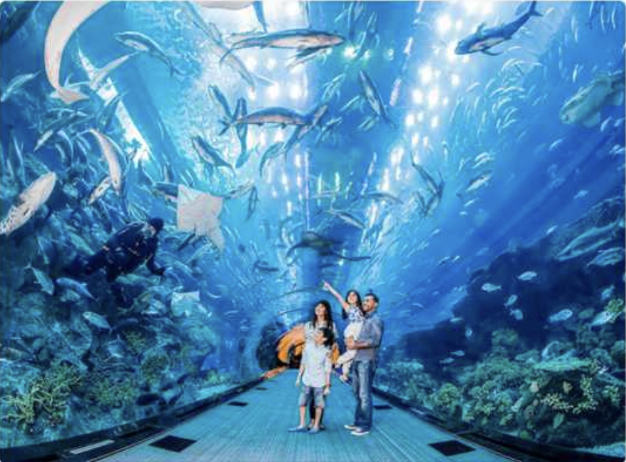 underwater zoo